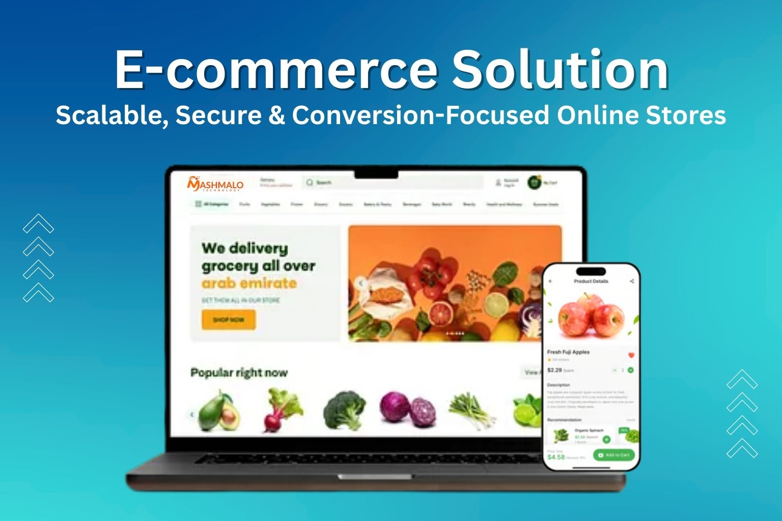 E-commerce Solution