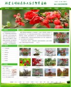 植物租赁_网站模板_seo网站优化_网站建设案例